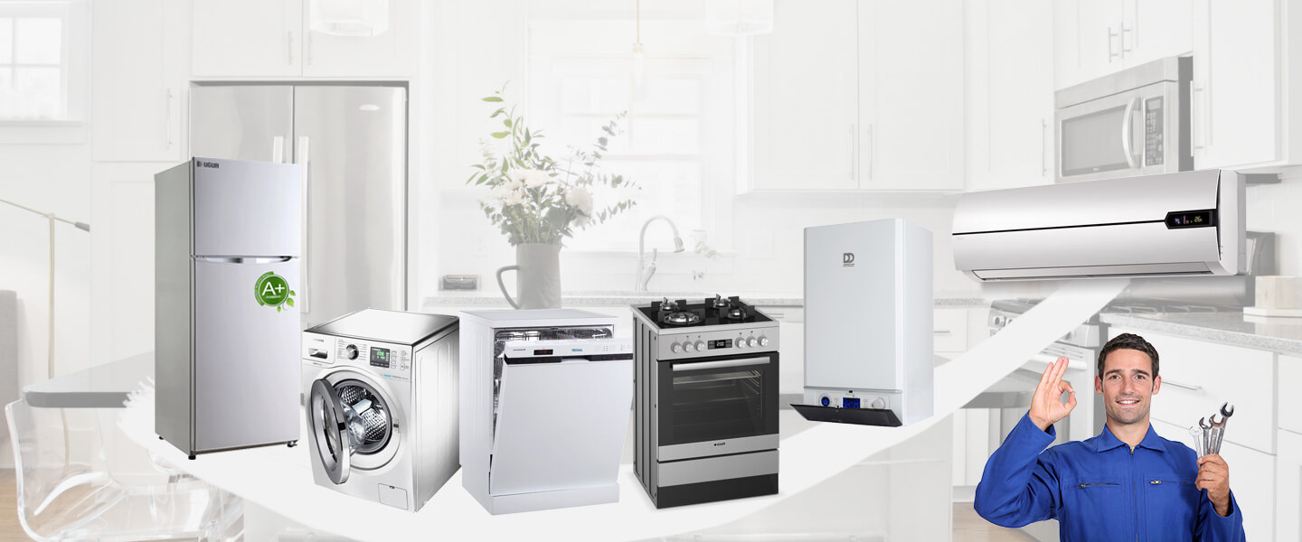 Arapgir Seg Servisi